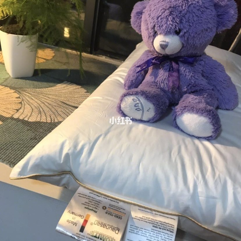 睡眠好物亲测——OBB ROYALBED鹅绒枕测评